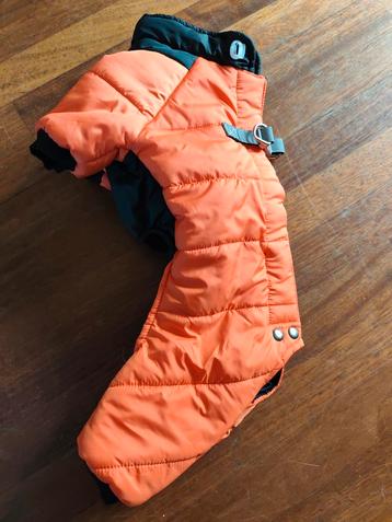 Warme regenjas voor hond beschikbaar voor biedingen