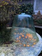 Antiek Franse meloen cloche, Ophalen