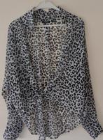 Coolcat Blouse Maat 42, Overige kleuren, Maat 42/44 (L), Ophalen of Verzenden, Zo goed als nieuw