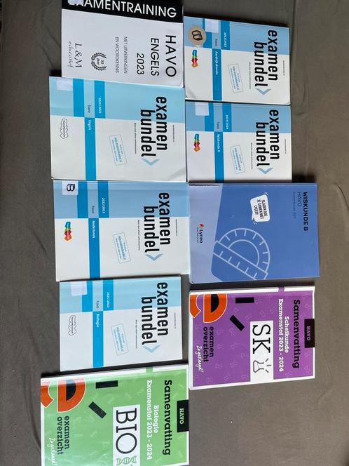 Examenbundels havo & samengevat, Boeken, Schoolboeken, Zo goed als nieuw, HAVO, Ophalen of Verzenden