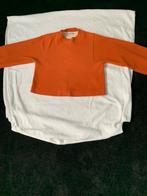 Oranje Vanilia Trui - Maat 34, Kleding | Dames, Truien en Vesten, Verzenden, Zo goed als nieuw, Maat 34 (XS) of kleiner, Oranje