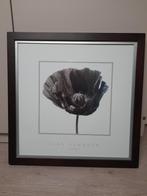 Drieluik Alan Newnham, Ophalen, Gebruikt, 50 tot 75 cm, Foto of Poster