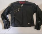 Harley Davidson jas S, Motoren, Kleding | Motorkleding, Jas | textiel, Harley Davidson. Origineel., Ophalen of Verzenden, Dames