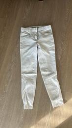 Wedstrijd broek vab La Valencio maat 38 (valt klein), Dieren en Toebehoren, Paardrijkleding, Ophalen of Verzenden, Zo goed als nieuw