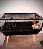 Hamsterkooi en accessoires, Dieren en Toebehoren, Knaagdieren en Konijnen | Hokken en Kooien, Kooi, Minder dan 75 cm, Zo goed als nieuw
