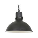 hanglamp,Industriele hanglamp, Ophalen of Verzenden, Zo goed als nieuw, Metaal, Minder dan 50 cm