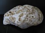 Versteend koraal. 15 kg., Ophalen of Verzenden, Mineraal