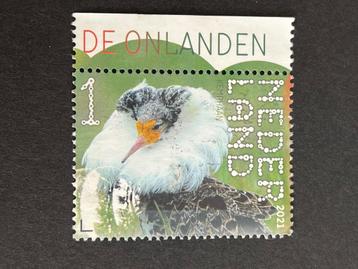 2855 Nederland 2021 NVPH 3910 - Kemphaan tab boven- gestem beschikbaar voor biedingen