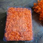 Carnaval loopgroep optocht pruiken, Ophalen of Verzenden, Jongen of Meisje