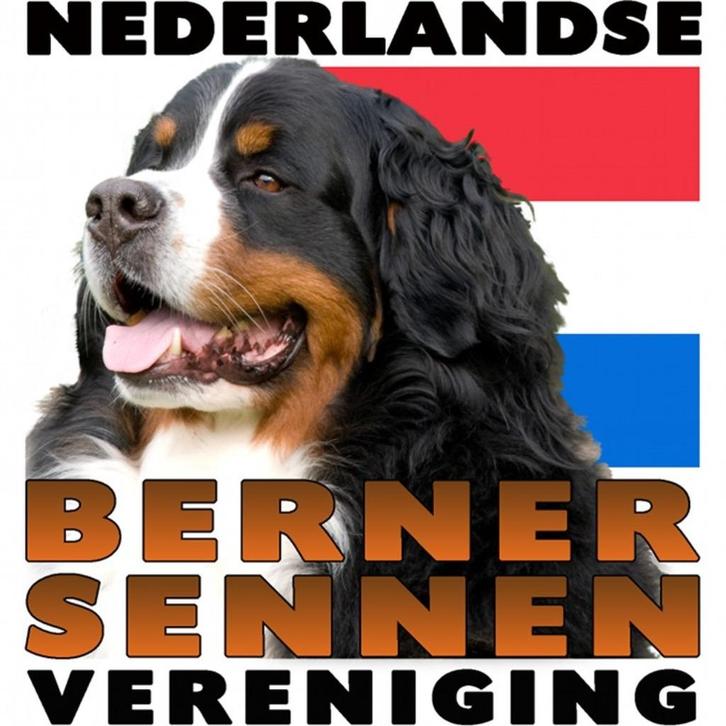 Berner Sennen pups, Dieren en Toebehoren, Honden | Bulldogs, Pinschers en Molossers, Geslacht onbekend, Sennenhond, Particulier