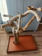 Back Zoo Nature Java tree Playstand XL, Dieren en Toebehoren, Vogels | Toebehoren, Ophalen, Zo goed als nieuw, Speelgoed
