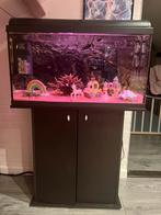 125L aquarium, Dieren en Toebehoren, Vissen | Aquaria en Toebehoren, Ophalen, Zo goed als nieuw, Leeg aquarium