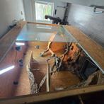 Terrarium glas nismaat 2404x1500 6mm glas op rolgeleider, Ophalen of Verzenden, Zo goed als nieuw