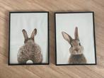 Konijn Poster met Lijst - Kinderkamer Decoratie, Ophalen of Verzenden, Zo goed als nieuw, Foto of Poster, Minder dan 50 cm