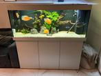 Aquarium Juwel  450 L, Dieren en Toebehoren, Ophalen of Verzenden, Zo goed als nieuw, Leeg aquarium