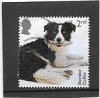 Engeland 2024 Dogs - Border Collie, Verzenden, Gestempeld