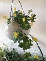 Vintage West-Germany hangende bloempot wit lange kettingen, Tuin en Terras, Bloempotten, Rond, Binnen, Ophalen of Verzenden, Minder dan 25 cm