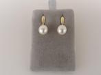Gouden oorhangers met parel en zirkonia                  G15