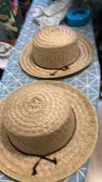 2 carnavals hoeden, Ophalen of Verzenden, Zo goed als nieuw, Carnaval