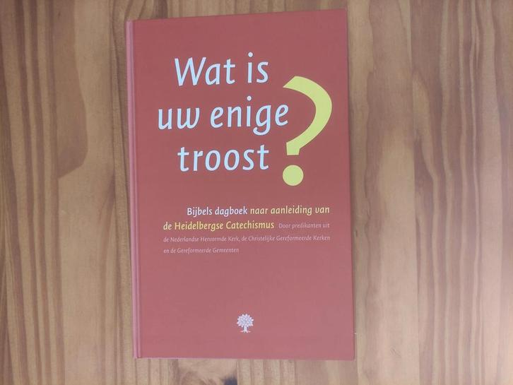 Wat is uw enige troost?, Boeken, Godsdienst en Theologie, Zo goed als nieuw, Ophalen of Verzenden
