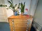 Papierkast, Ophalen, 5 laden of meer, 75 cm of meer, Vintage, kunst, industrieel