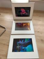 3 foto’s van bandleden inclusief alu wissellijsten, Ophalen