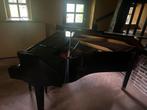 Petrof Vleugel uit 1995 - Gestemd & Schoon, Muziek en Instrumenten, Piano's, Gebruikt, Zwart, Ophalen of Verzenden, Hoogglans