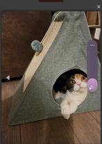 Britse korthaar poes torti met stamboom, Dieren en Toebehoren, Katten en Kittens | Raskatten | Korthaar, Poes