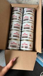 Royal canin gastriontestinal kitten zacht voer, Ophalen, Kat
