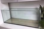 Acuarium, Minder dan 60 cm, Overige typen, Ophalen of Verzenden, Zo goed als nieuw