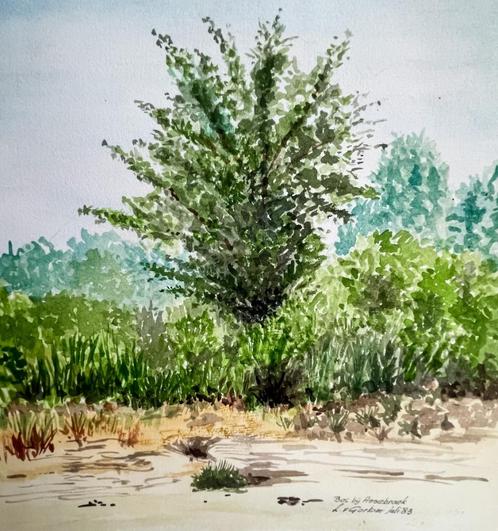 Louis van Gorkum - Bos bij Assenbroek Juli 1983 - 38x34, Antiek en Kunst, Kunst | Schilderijen | Klassiek, Ophalen of Verzenden