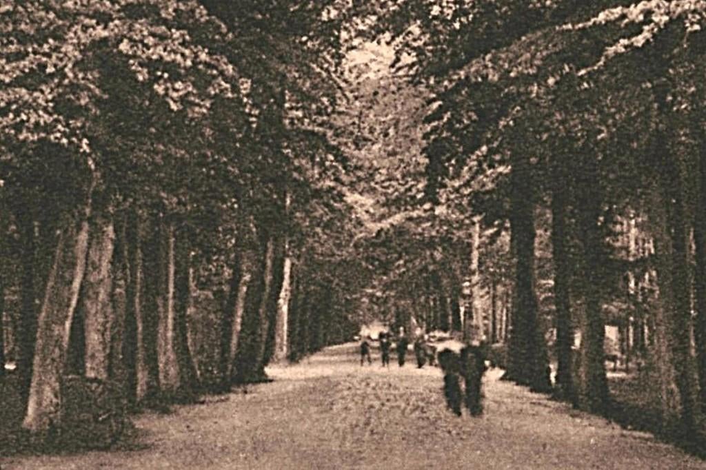 963208 Haarlem Den Hout 1930 Gelopen met postzegel, Verzamelen, Ansichtkaarten | Nederland, Ophalen of Verzenden, 1920 tot 1940