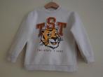 Trui / sweater jongen of meisje -- maat 98 / 104 -- H&M, Kinderen en Baby's, Kinderkleding | Maat 98, Gebruikt, Jongen of Meisje