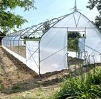 Profi kas, Tunnelkas, KWALITEIT 5x10 m - EU-productie, Staal, Folie, Verzenden, Kweekkas