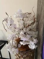 Mooie witte bloesem, Ophalen of Verzenden, Zo goed als nieuw