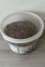 BSF gedroogde larven vliegenlarven, Dieren en Toebehoren, Ophalen of Verzenden