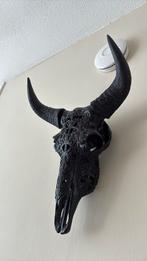 Ibiza buffel schedel / skull, Huis en Inrichting, Ophalen of Verzenden, Zo goed als nieuw