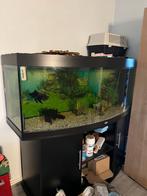 Juwel Vision 450, Dieren en Toebehoren, Vissen | Aquaria en Toebehoren, Ophalen of Verzenden, Leeg aquarium