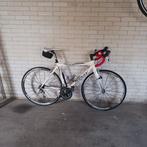 Race fiets RIDLEY, Ophalen, Gebruikt, 20 inch of meer