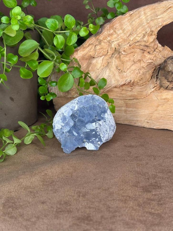 Celestien, Verzamelen, Mineralen en Fossielen, Mineraal, Ophalen of Verzenden