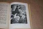 Een huis vol kinderen. Vletter. Kluitman 1e dr. 1913., Boeken, Ophalen of Verzenden, Gelezen