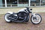 Harley-Davidson VRSC Night Rod VRSCDX V-Rod Night Rod Specia, Motoren, Motoren | Harley-Davidson, Chopper, Bedrijf, Meer dan 35 kW