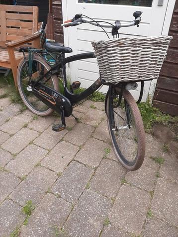 Alpina clubb 24 inch fiets beschikbaar voor biedingen