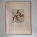Kopergravure Jacquin, Antiek en Kunst, Kunst | Etsen en Gravures, Ophalen
