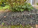 Gratis afhalen Schanskorven, Tuin en Terras, Ophalen, Gebruikt, Minder dan 10 meter
