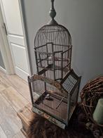 Antieke vogelkooi., Dieren en Toebehoren, Ophalen, Hout, Vogelkooi