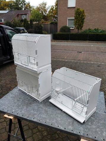 Tentoonstellingskooien kunststof 3x voor kleine vogels  beschikbaar voor biedingen