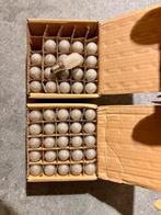 E14 Led koelkast lampjes 1W Frosted (45x), Led-lamp, Minder dan 30 watt, E14 (klein), Nieuw