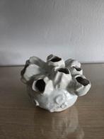 Kleine tulpenvaas, Ophalen of Verzenden, Wit, Aardewerk of Porselein, Minder dan 50 cm