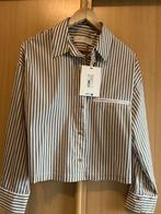 Nukus Blouse Nieuw Maat L, Ophalen of Verzenden, Nieuw, Maat 42/44 (L), Beige